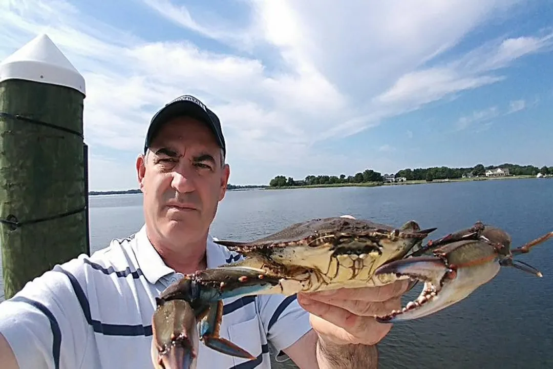What state is known for the best crab?, Gulf Coast Rivalry