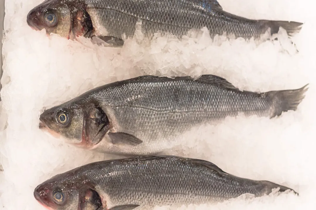What to avoid when buying fish?, Freshness Indicators