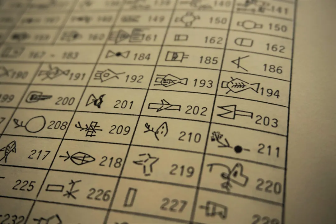 What worms do Mexicans eat?, Preparation Styles