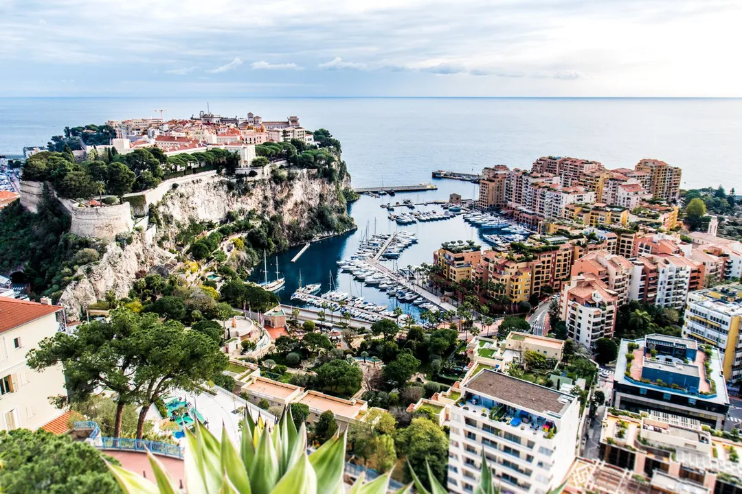 What's the average cost of a meal in Monaco?, Basic Costs