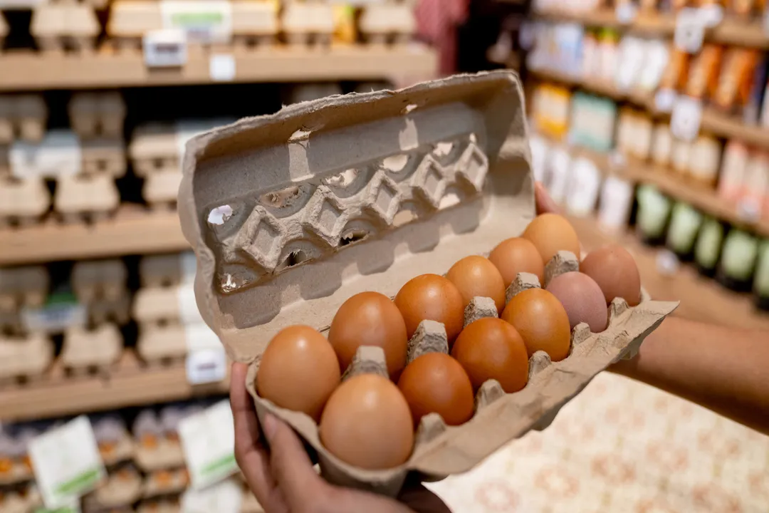 Which country has the best quality eggs?