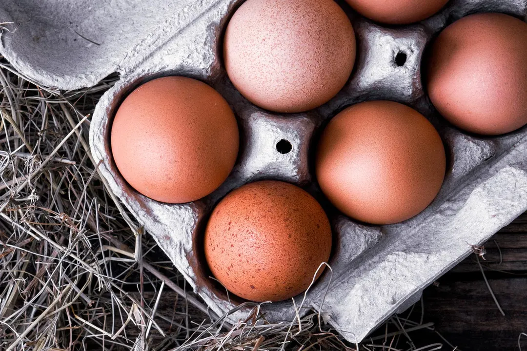 Which country has the best quality eggs?, National Baselines