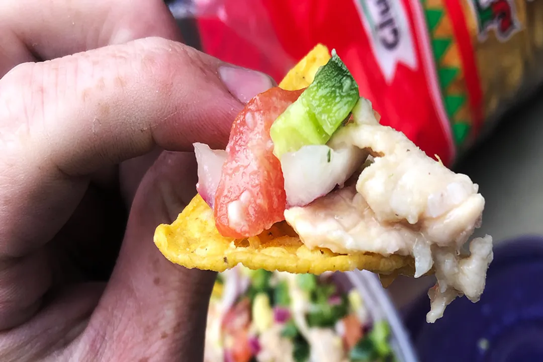 Which pollutant, accumulated in large predatory fish like Swordfish, cannot be remediated by cooking or freezing?