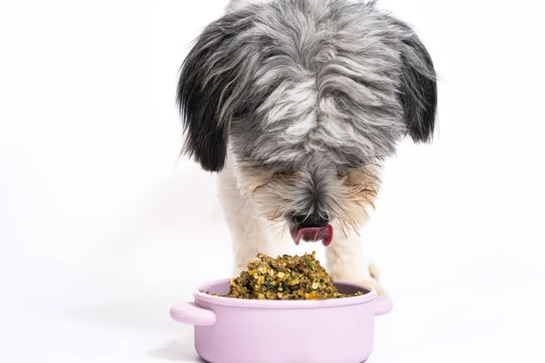 Which is better, sockeye or keta salmon?, Color Distinction