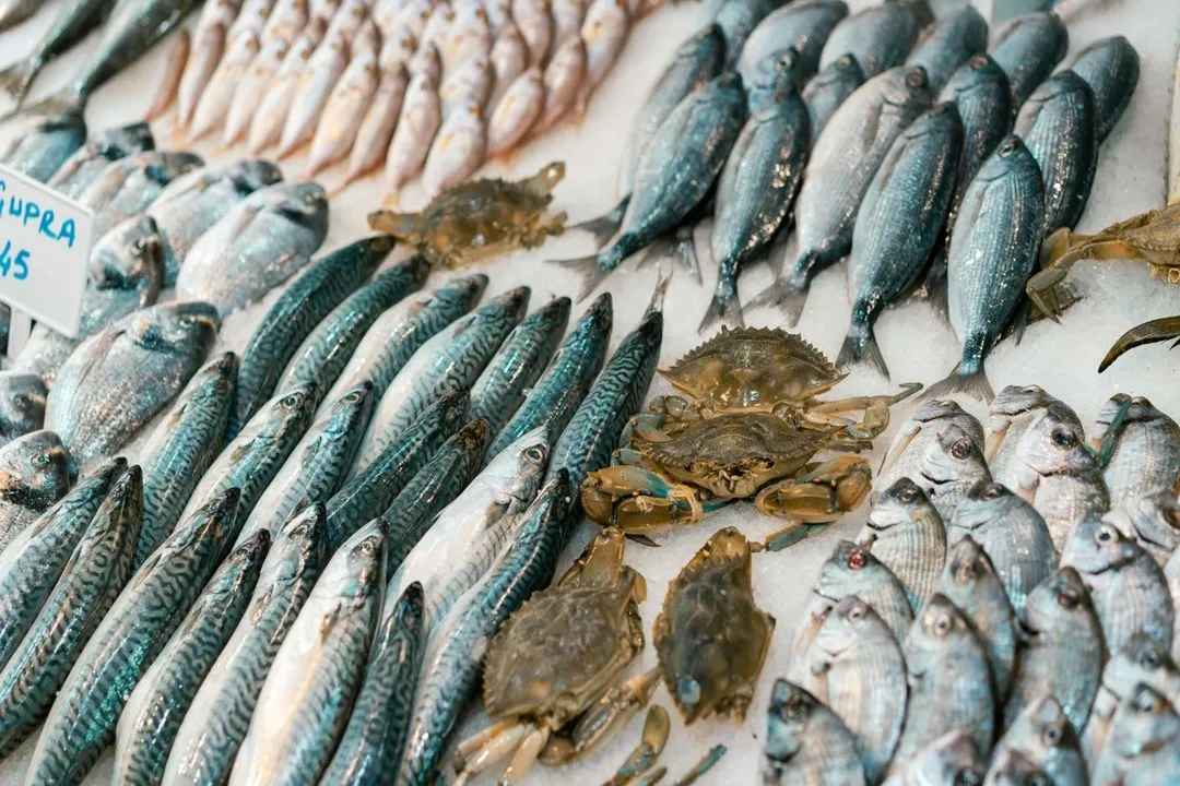 Which mackerel to avoid?, Mercury Contamination