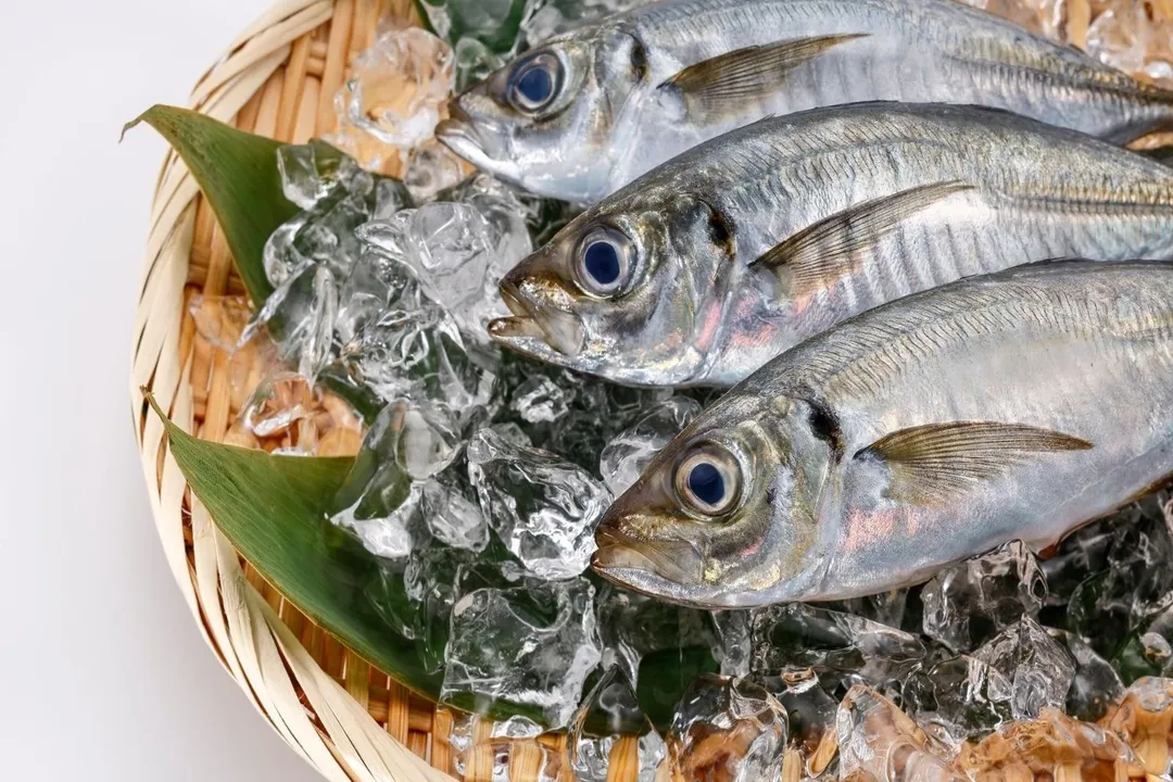 Which mackerel to avoid?, King Mackerel