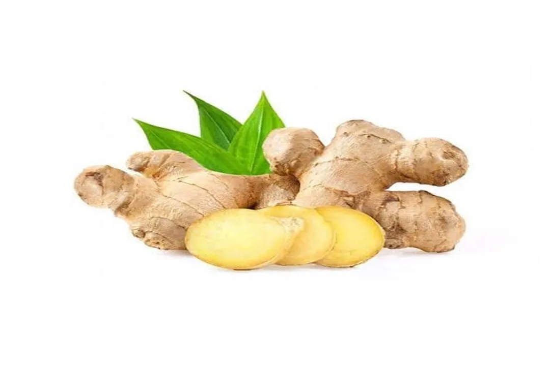 Which part of the ginger plant is used in cooking?, Underground Structure