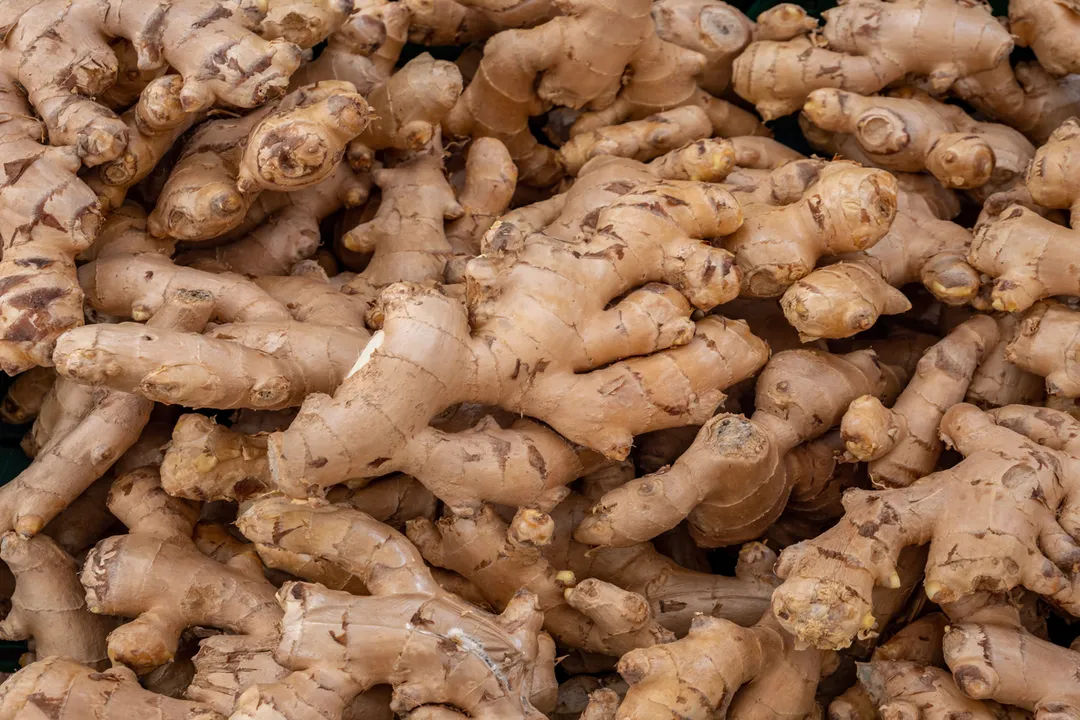 Which part of the ginger plant is used in cooking?, Rhizome Misnomer