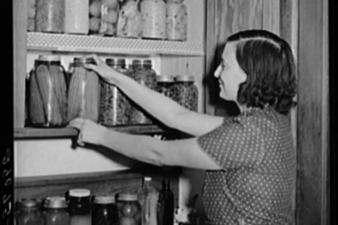 Who discovered food processing?, Early Preservation