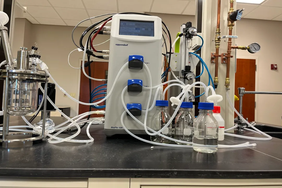 Are careers in industrial fermentation growing?