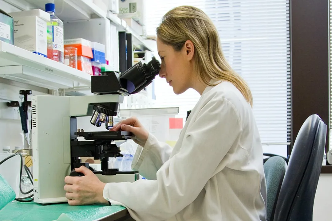 Are careers in population health viable?, Workforce Needs