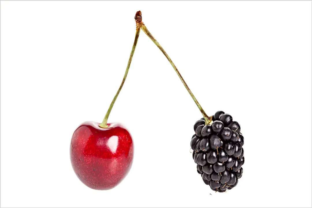 Can I Have Multiple Career Paths?, Modern Work Reality