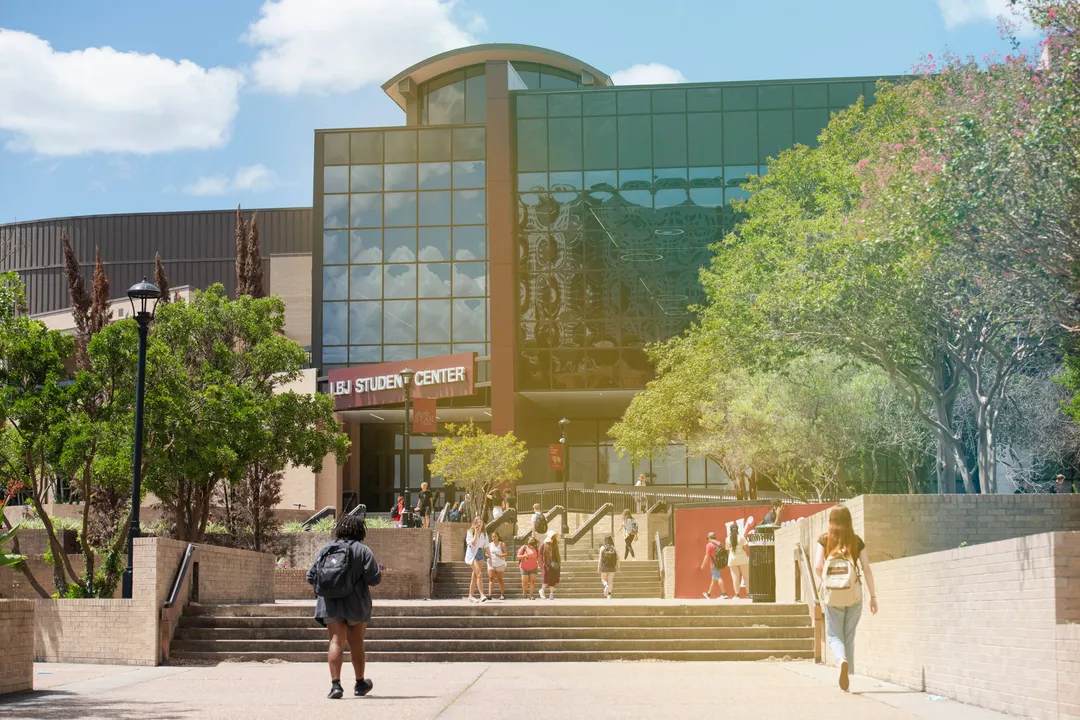 How Do I Build a Career Portfolio?, Early Steps