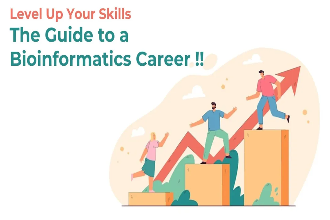 How do you start a career in bioinformatics?, Core Knowledge