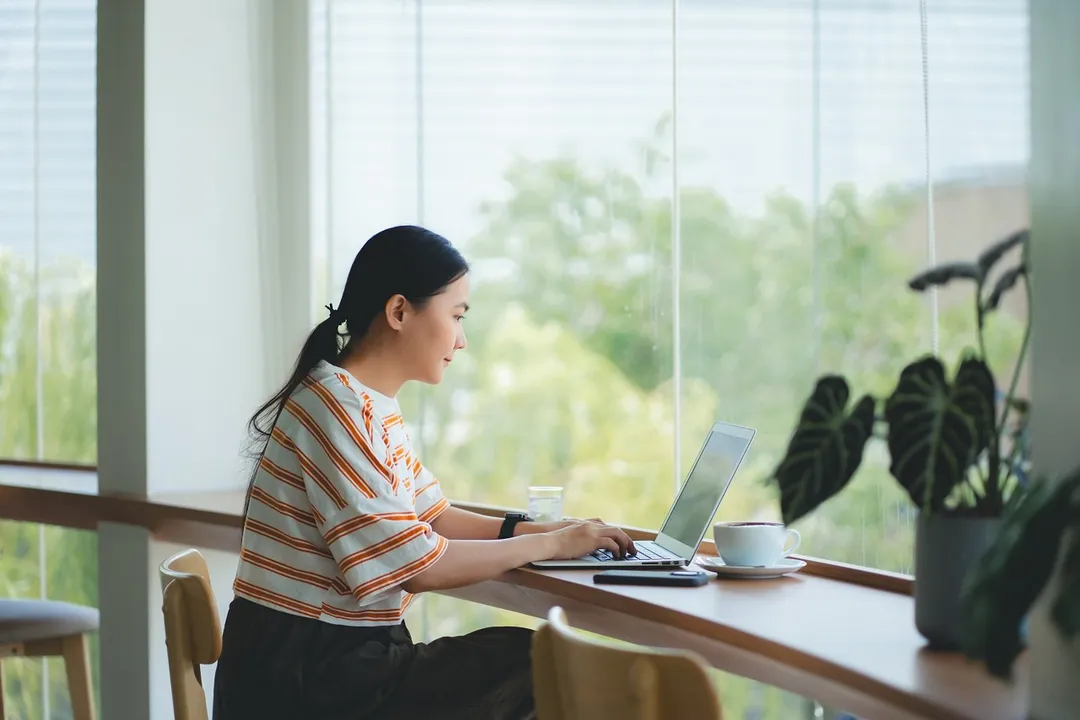 How do you work in AI explainability?, Opacity Defined