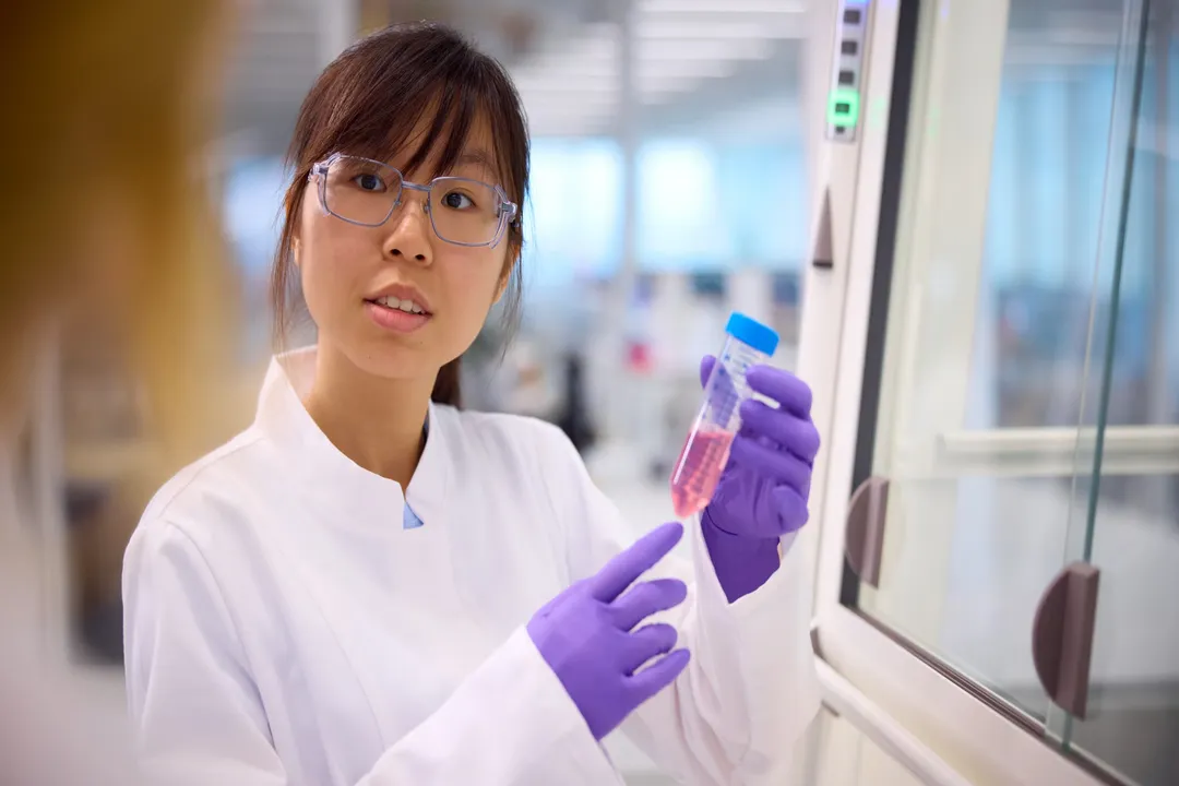 How do you work in digital laboratories?