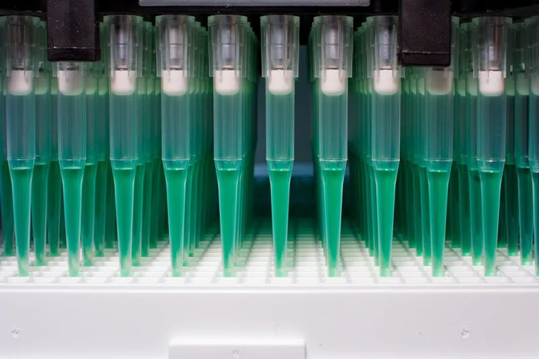 How do you work in high-throughput screening?