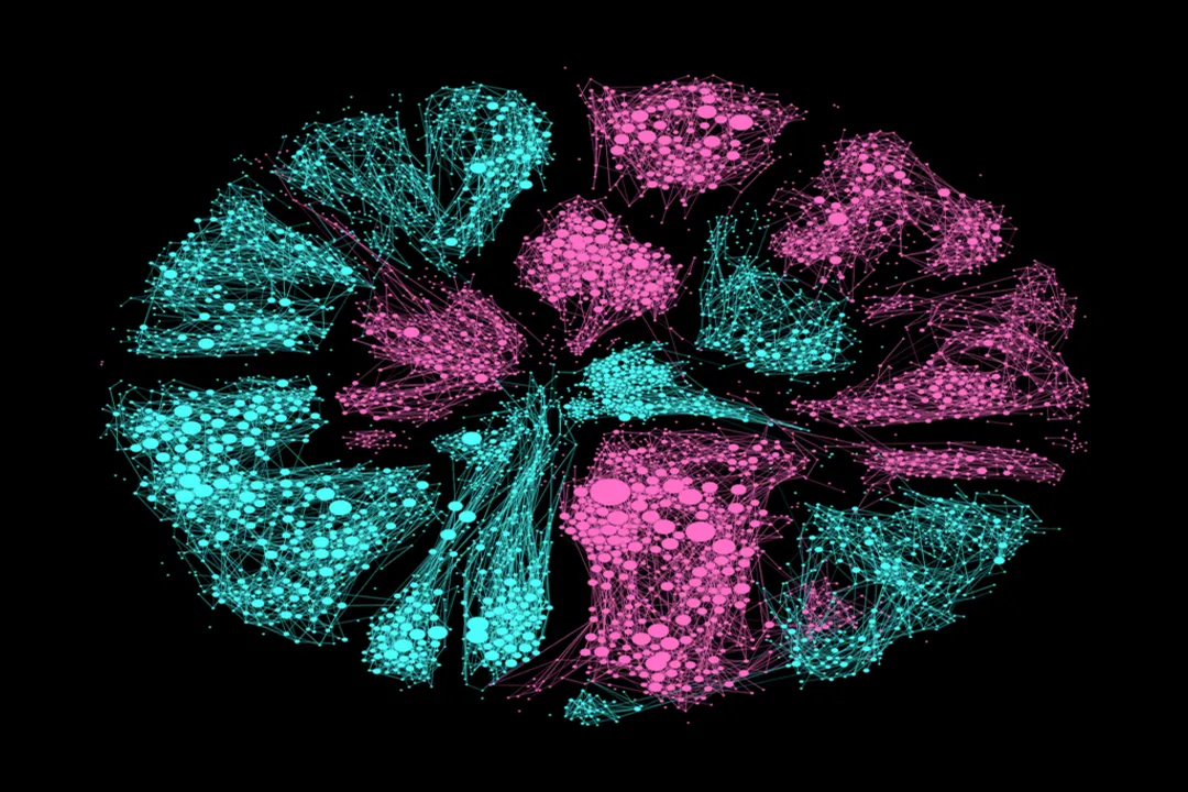 How do you work in network science?, Defining Networks