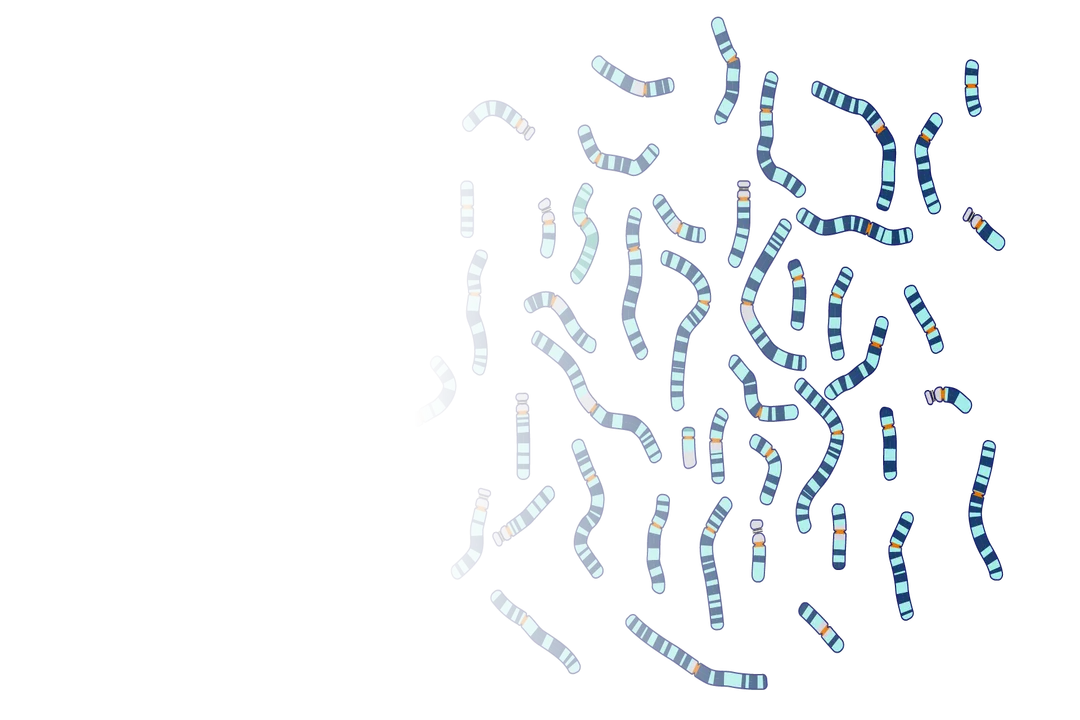 How do you work in personalized medicine?, Professional Roles