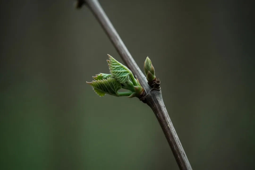 How do you work in privacy-preserving computation?, Deciding on Implementation Context