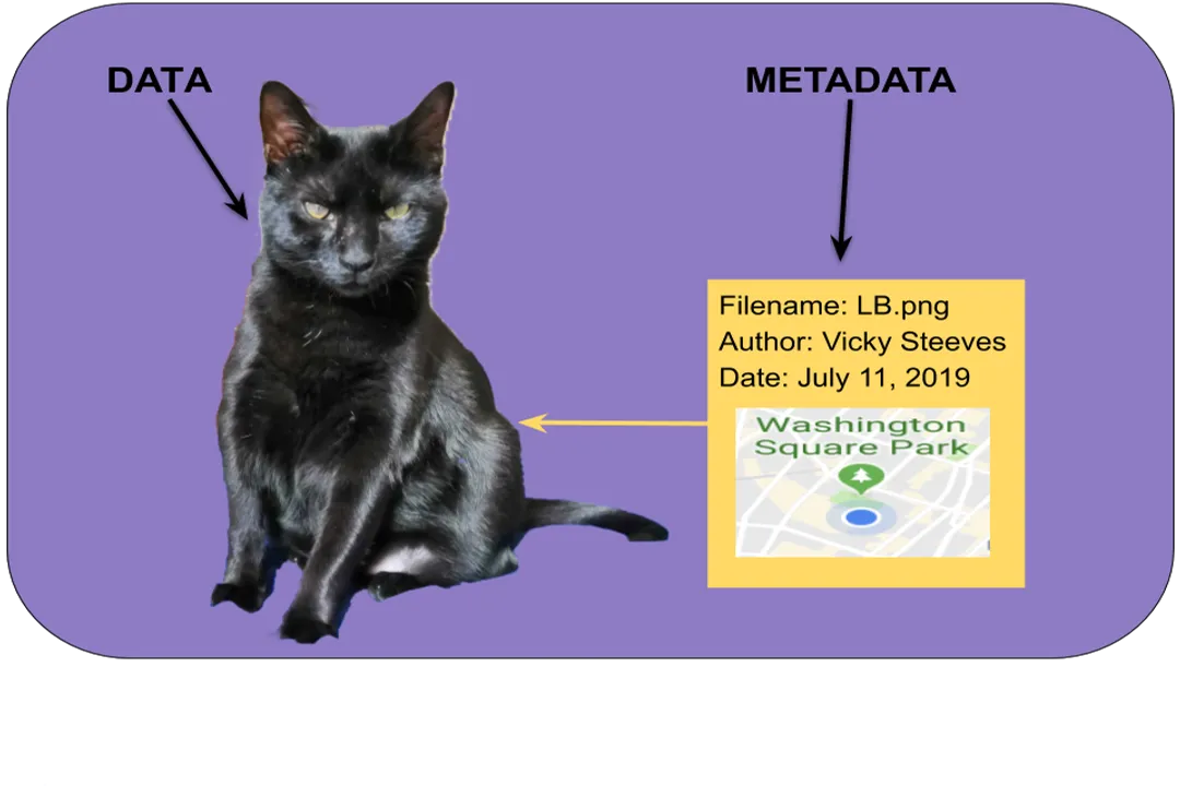 How do you work in research data management?