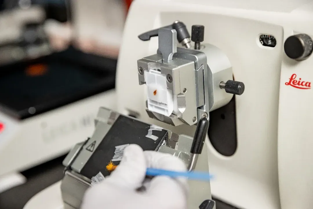 How Much Do Engineers Earn?, Specialty Pay Scales