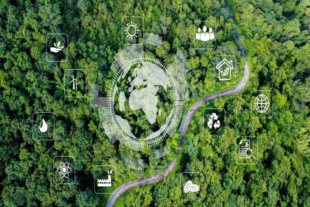 How to build a career in sustainability?, Experience Building