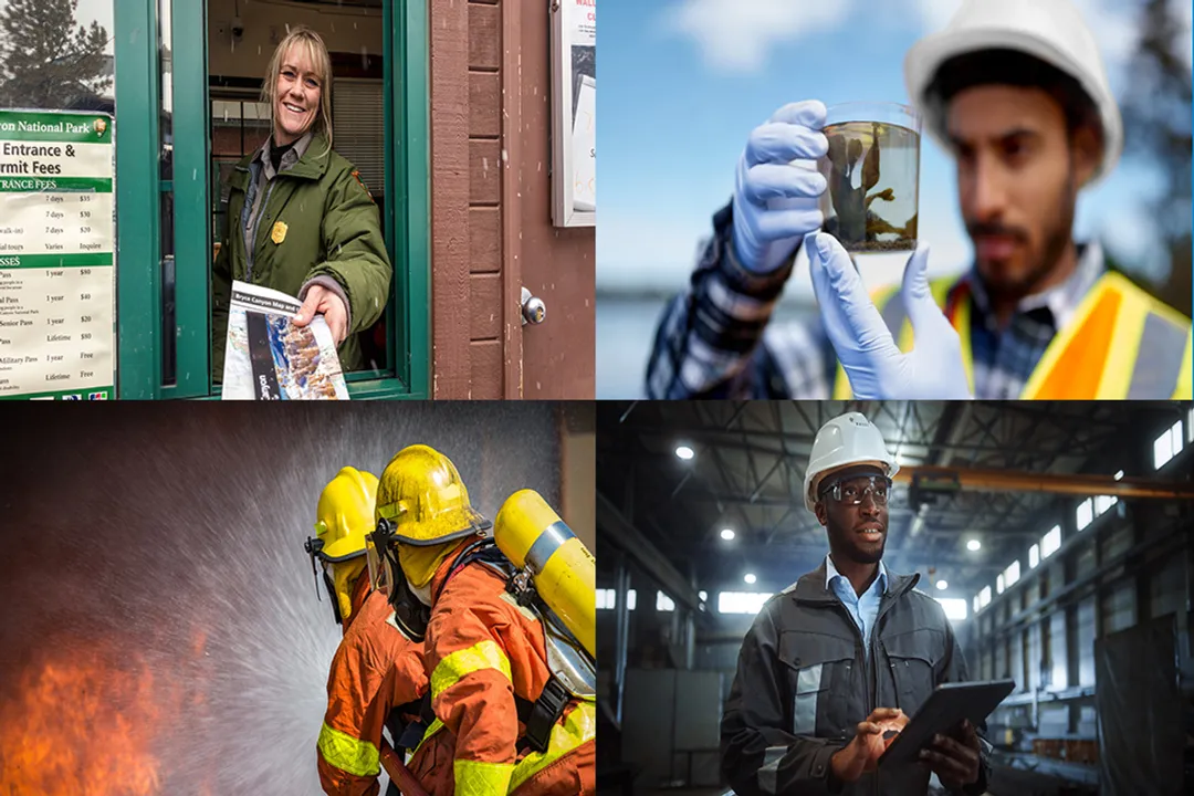 Is it a good idea to get a government job?