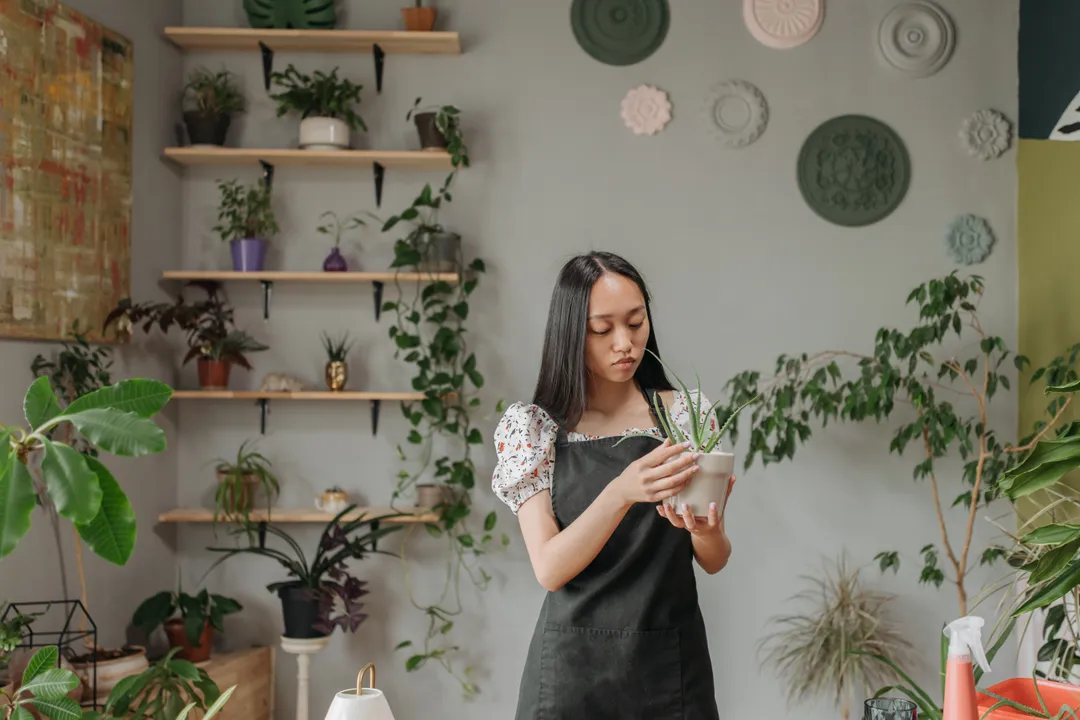 Is it better to work for money or passion?, The Passion Premise