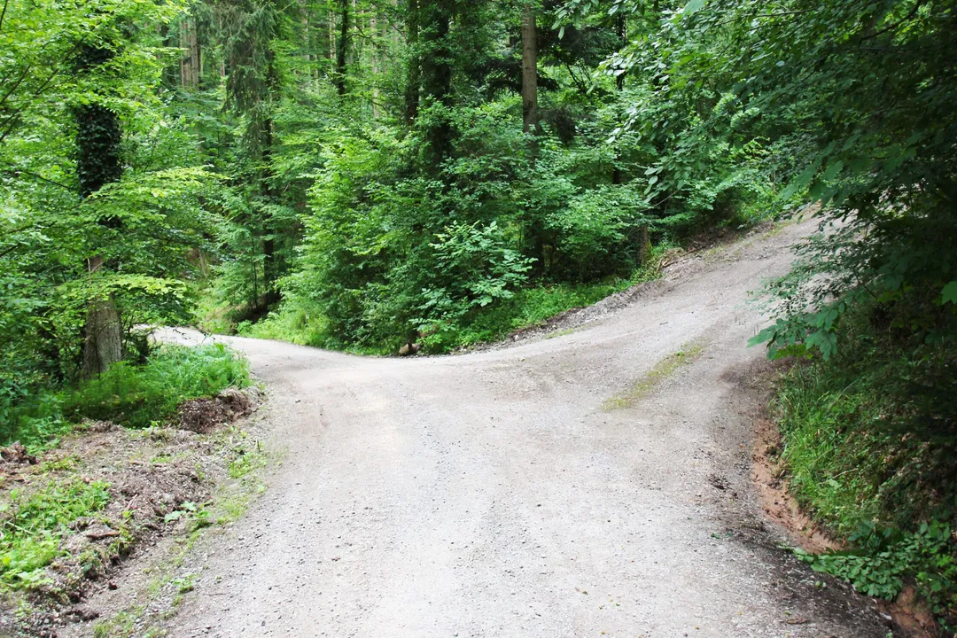 Is Nonprofit Work a Good Long-Term Career?