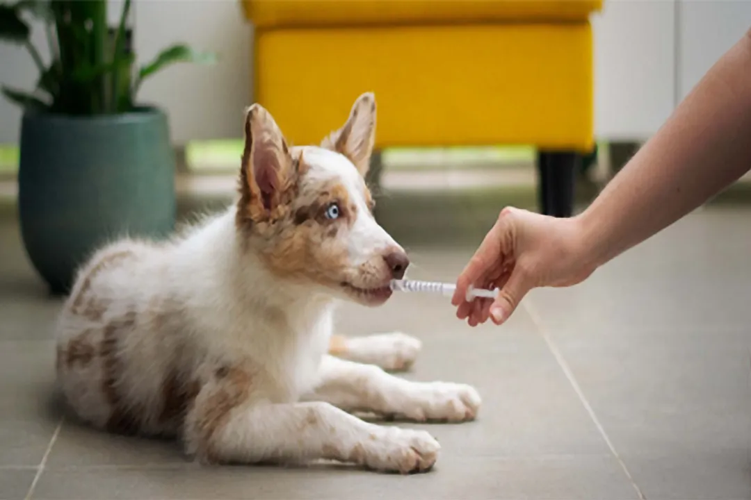 What Agriculture Careers Are Government-Supported?
