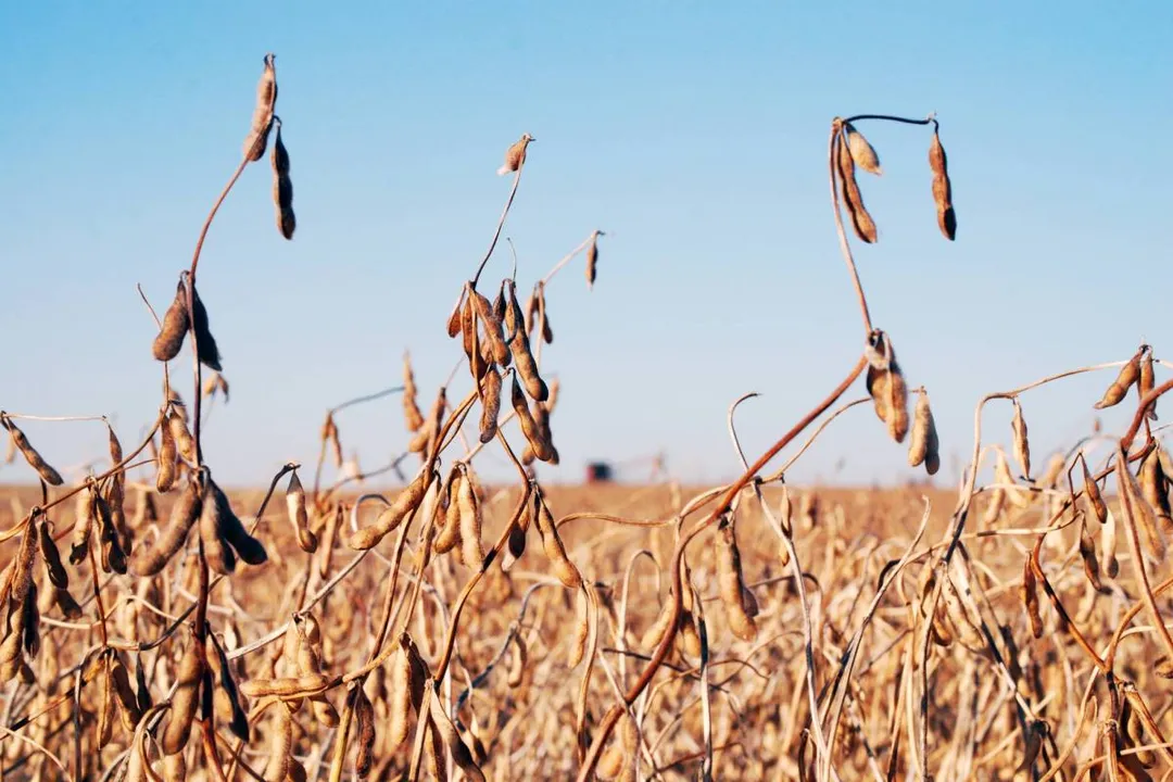 What Agriculture Careers Involve Agribusiness?