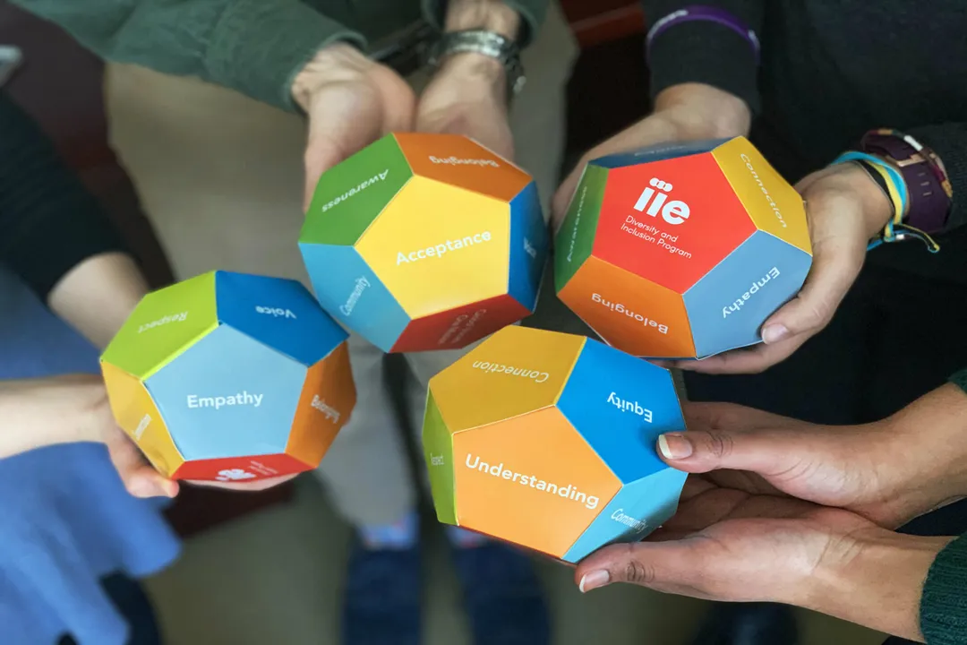 What Are International Education Careers?, Necessary Competencies and Skills