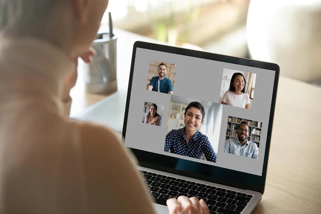 What Are International Education Careers?, Sectors of Employment