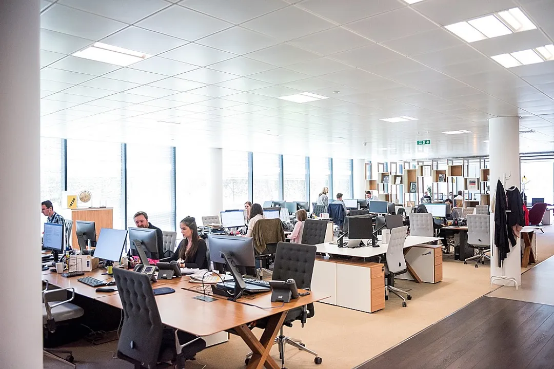 What are the factors causing job dissatisfaction?, Herzberg's Dual Factors