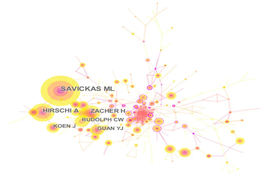 What are the four C's of career adaptability?