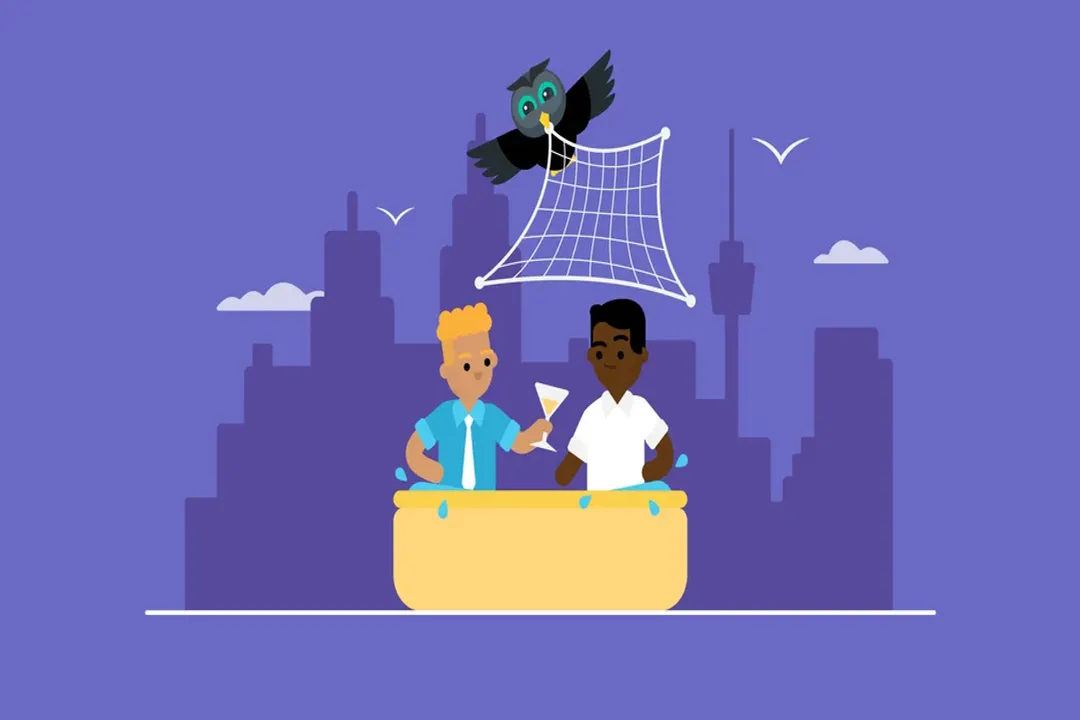 What are the three types of professional networks?, Functional Needs