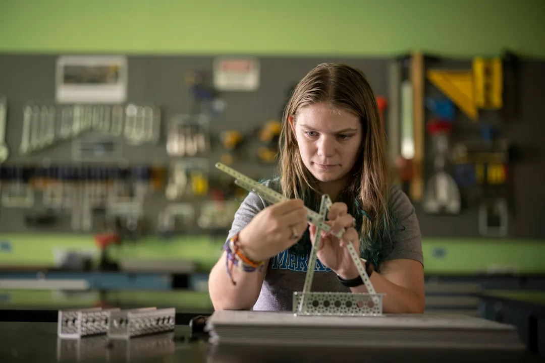 What careers exist in environmental data science?, Sector Demand