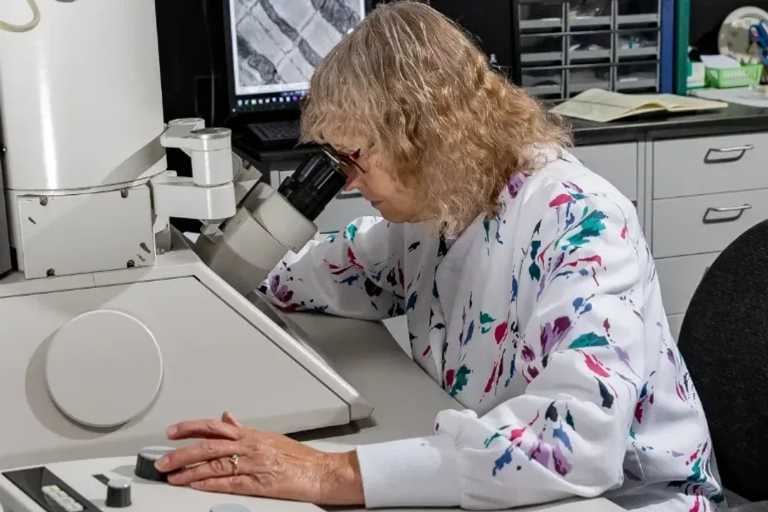 What careers exist in tissue engineering?