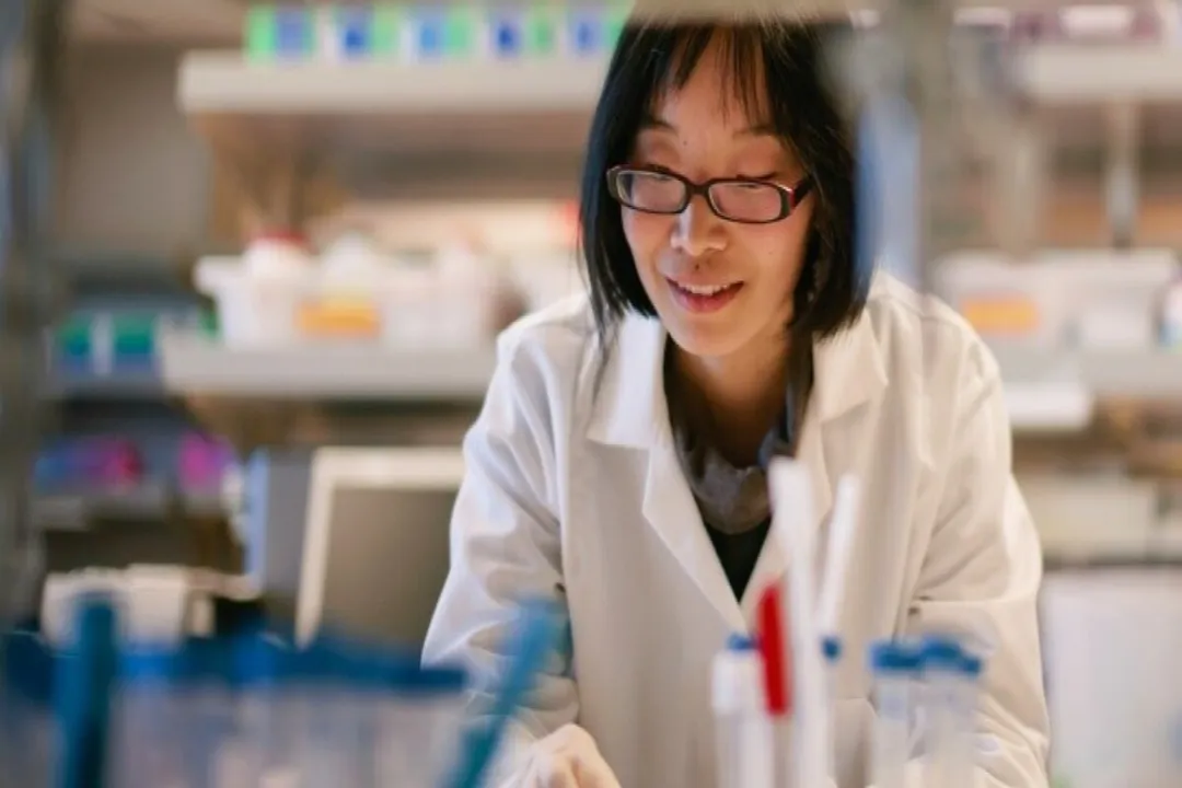 What careers exist in tissue engineering?, Research Tracks