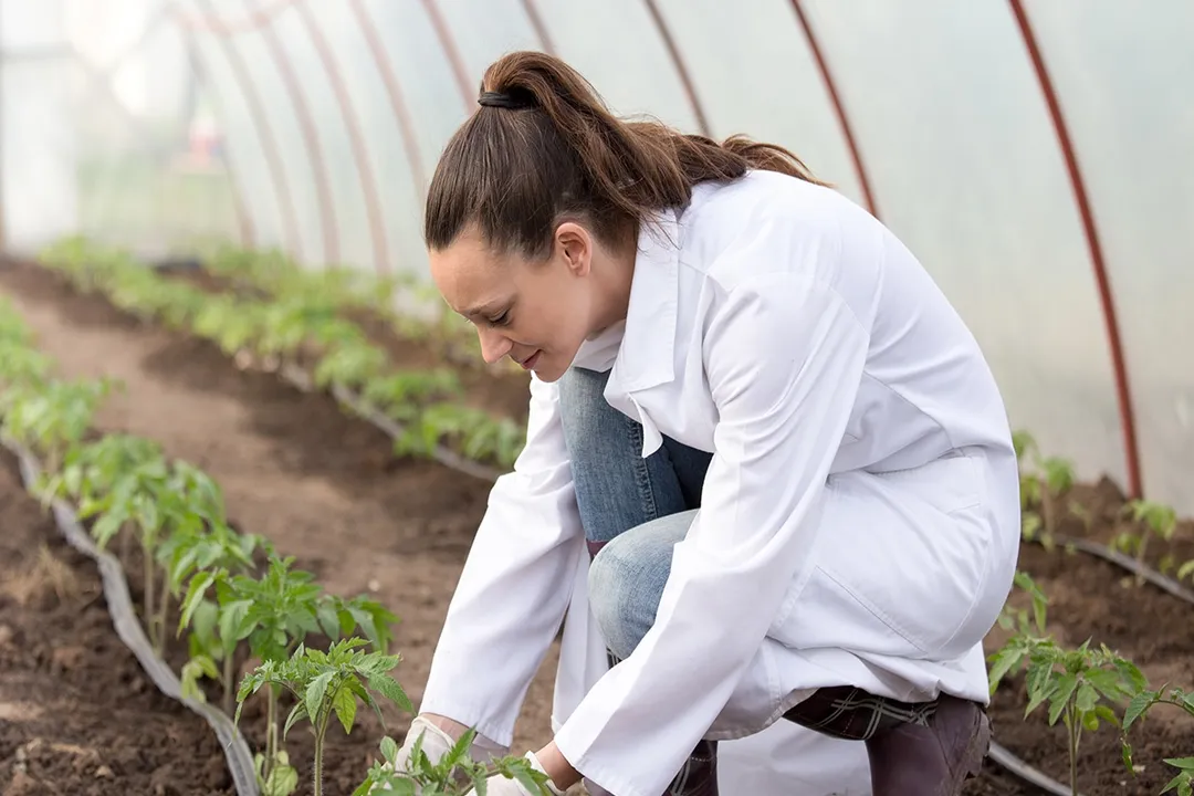 What Certifications Help Agriculture Careers?, Soil Stewardship