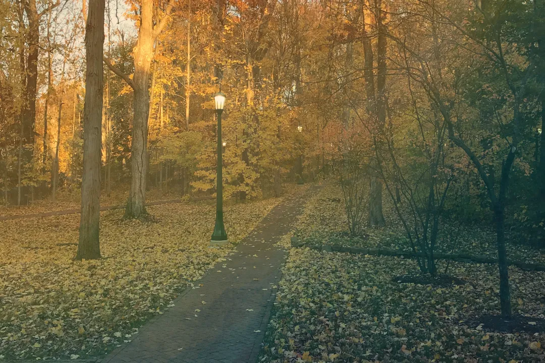 What Is a Dream Job?, Personal Definition