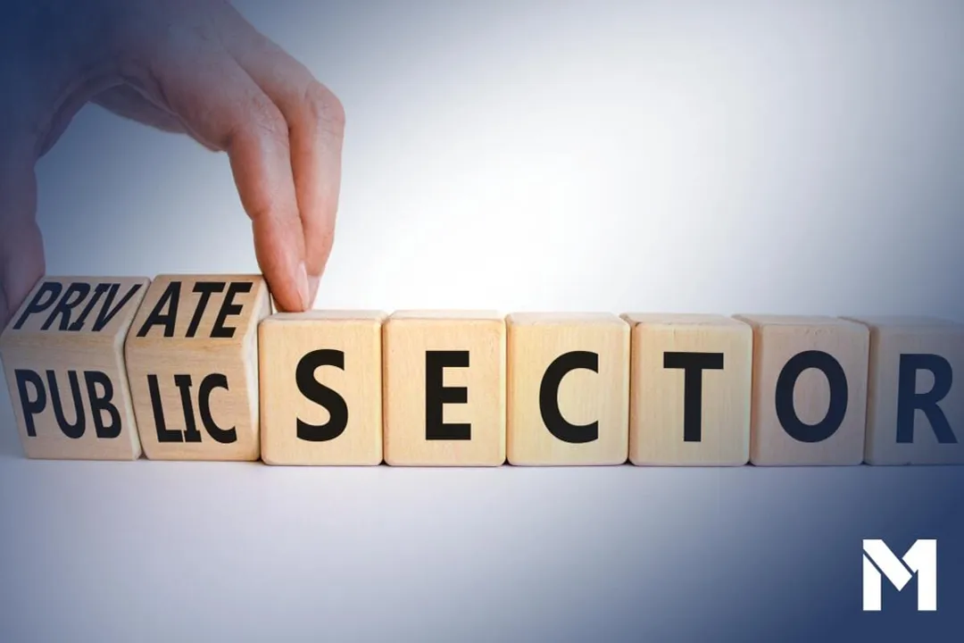 What is the difference between public and private sector jobs?, Sector Definition