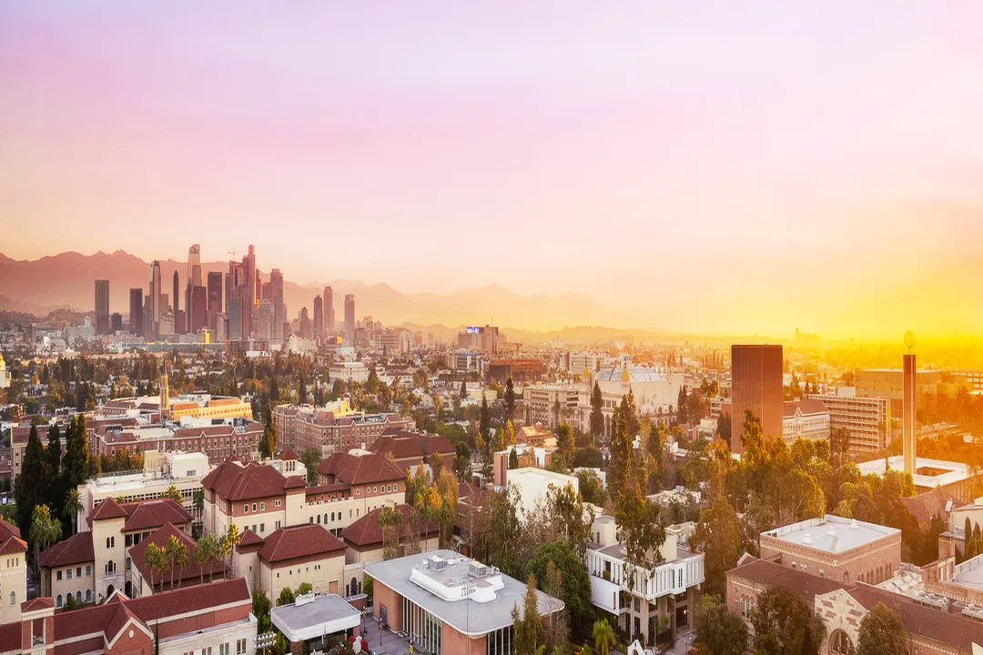 What jobs exist in brand intelligence platforms?, Analyst Roles