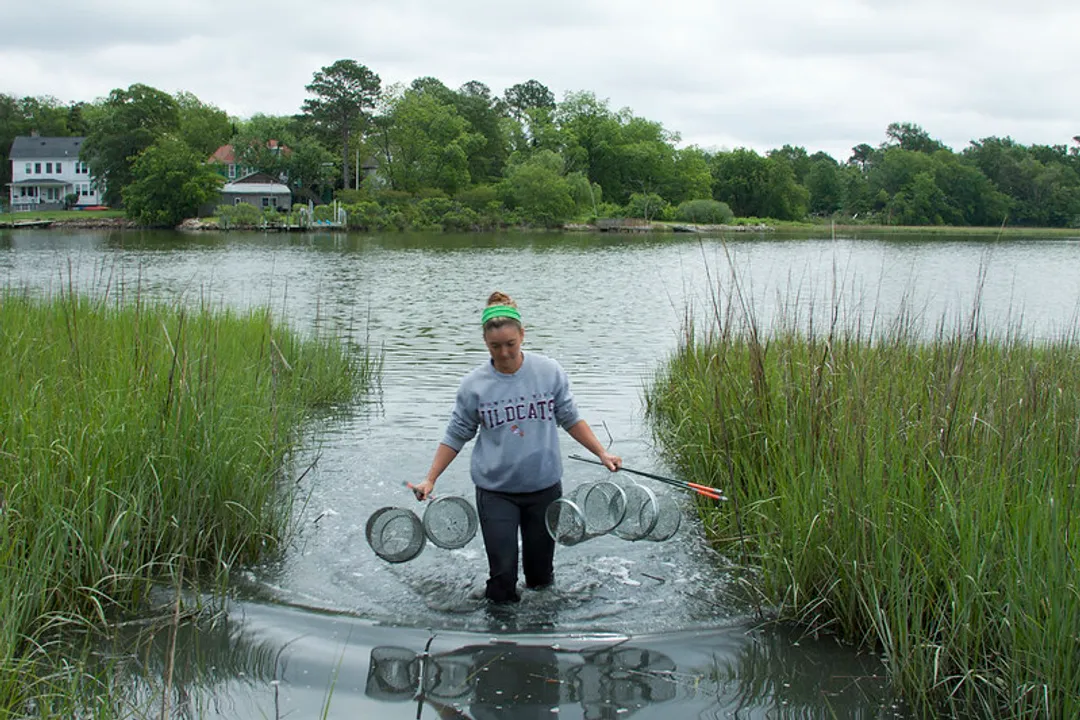 What jobs exist in coral restoration technology?, Engineering Innovation