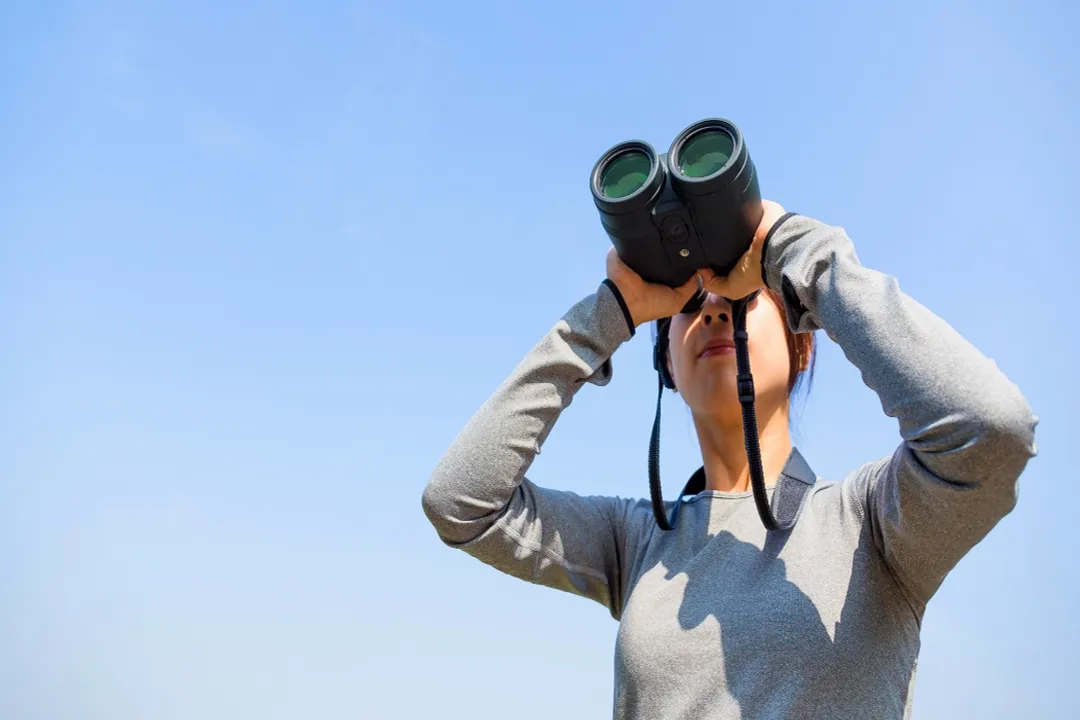 What Nonprofit Careers Are Mission-Driven?, Career Paths