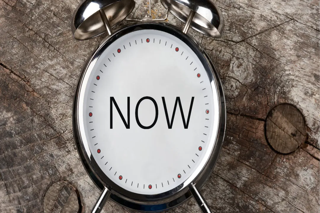 What roles exist in algorithm auditing?