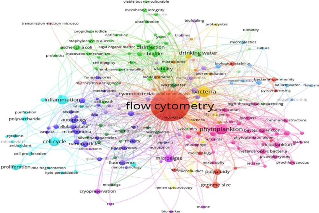 What roles exist in bibliometrics?