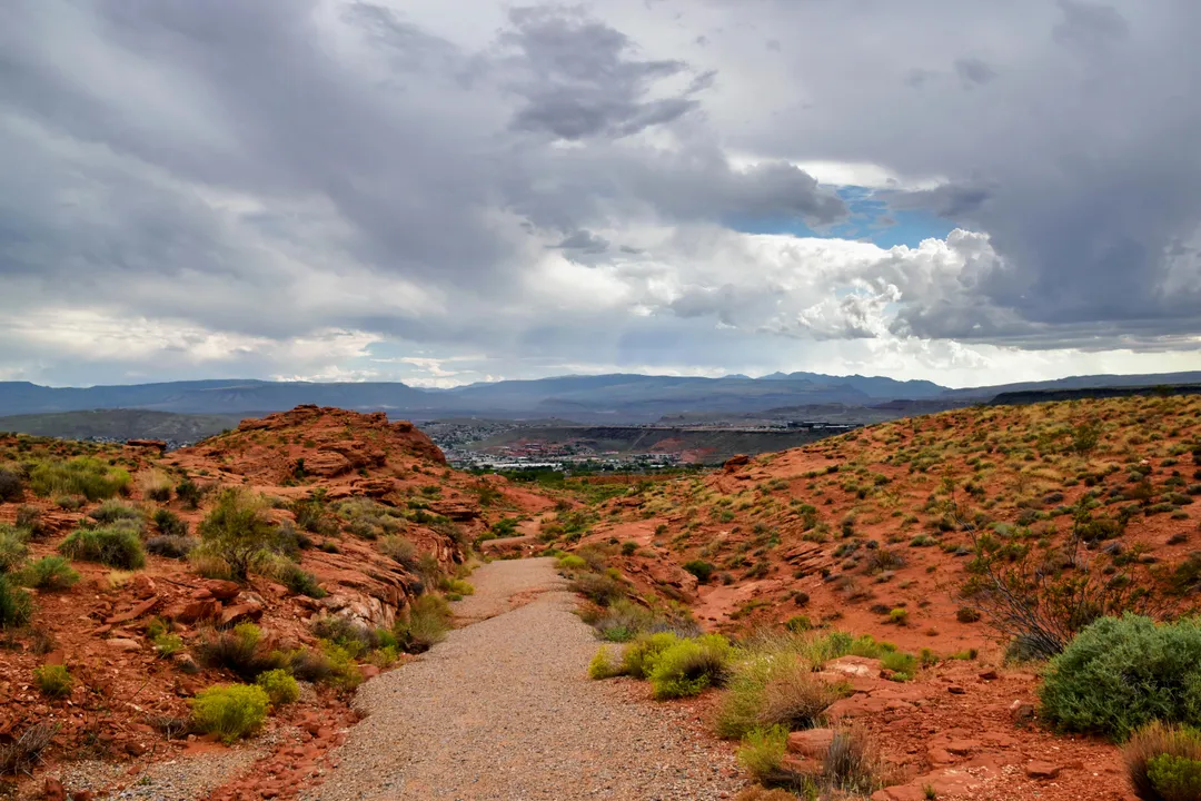 What roles exist in data governance tech?