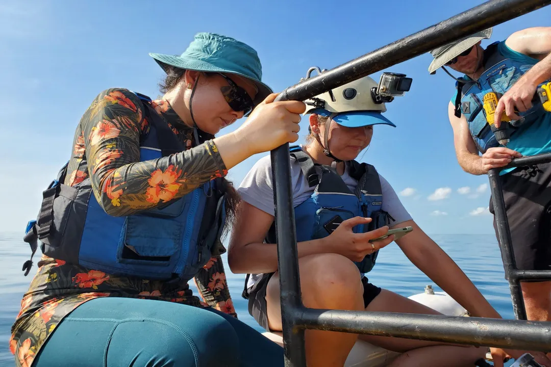 What roles exist in desalination technology?, Plant Operations